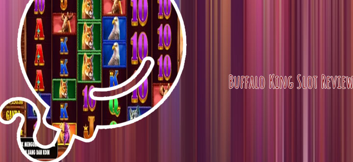 Slot buffalo king