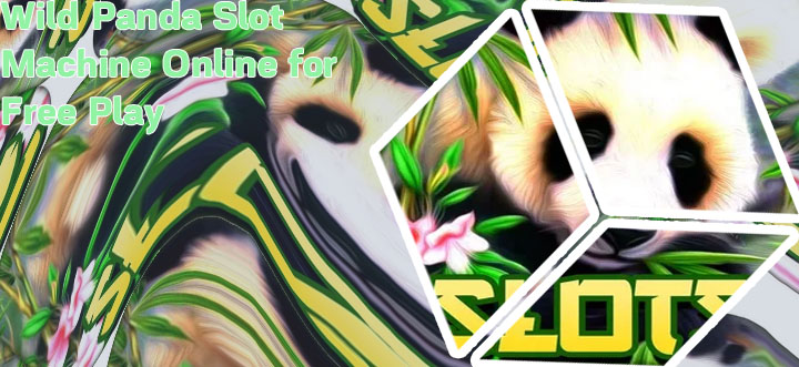 Wild panda slots app